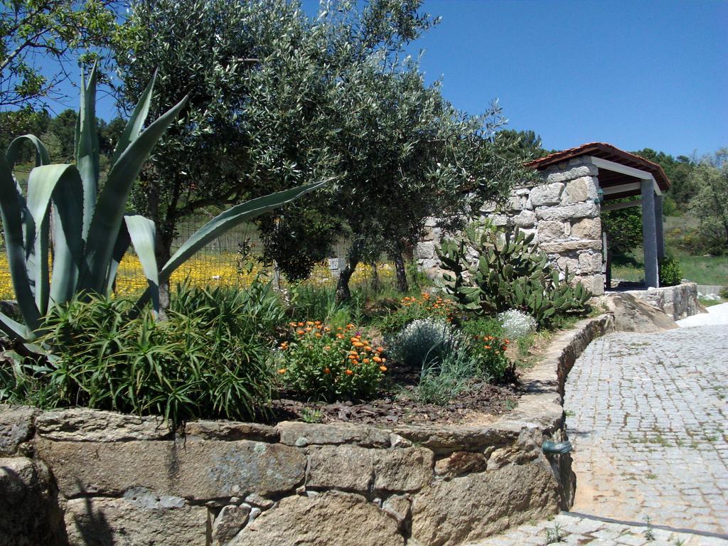 Quinta Do Mineiro-Serra Da Estrela Matanca الغرفة الصورة