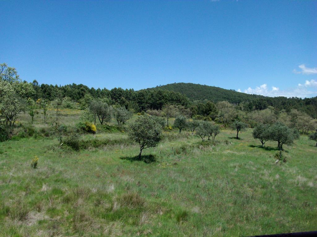 Quinta Do Mineiro-Serra Da Estrela Matanca الغرفة الصورة
