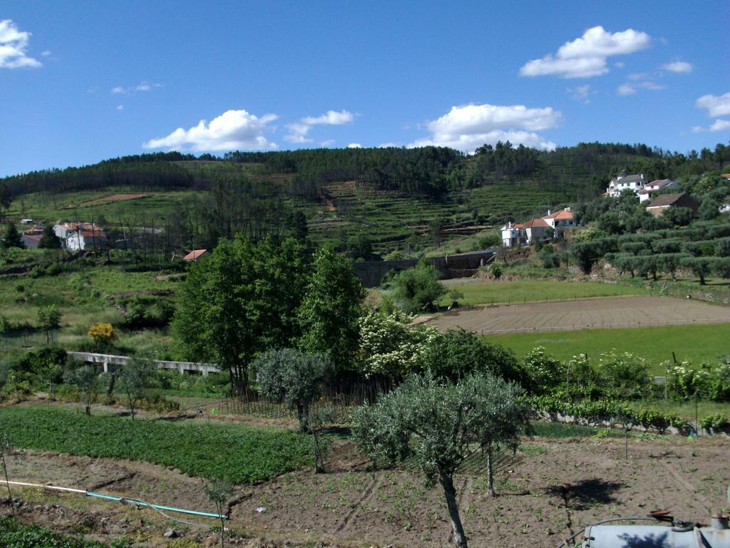 Quinta Do Mineiro-Serra Da Estrela Matanca المظهر الخارجي الصورة